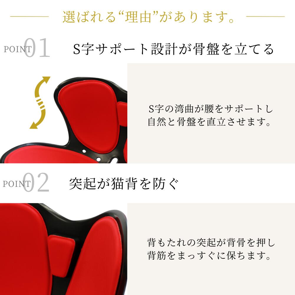 楽天市場】楽天1位 骨盤矯正 椅子 クッション 姿勢矯正 グッズ 座椅子
