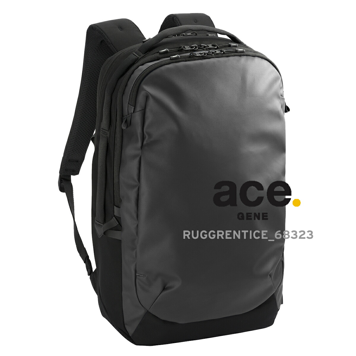 楽天市場】エース ジーン レーベル ラグレンティス 68323-01 エキス