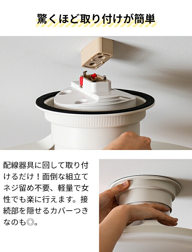 楽天市場】【楽天1位】【選べる豪華特典】 ドウシシャ サーキュライト