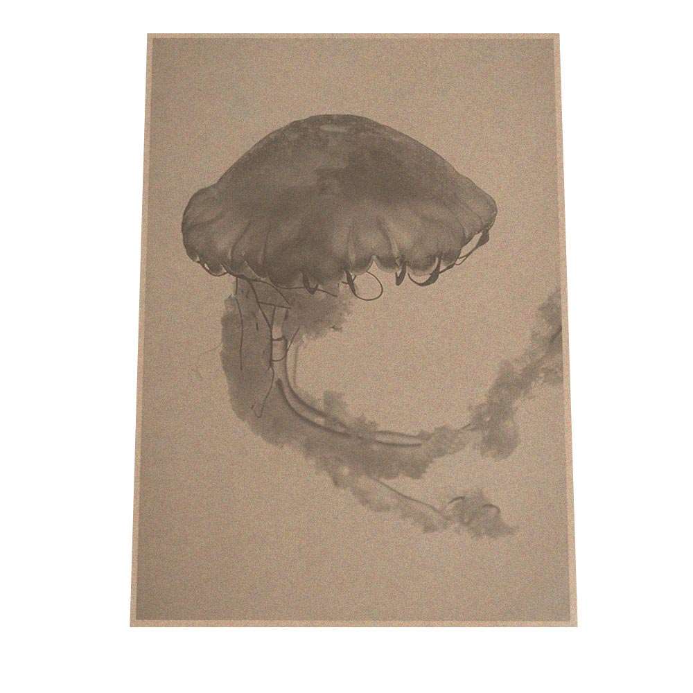 楽天市場】クラゲ くらげ ジェリーフィッシュ ポスター 海の生き物