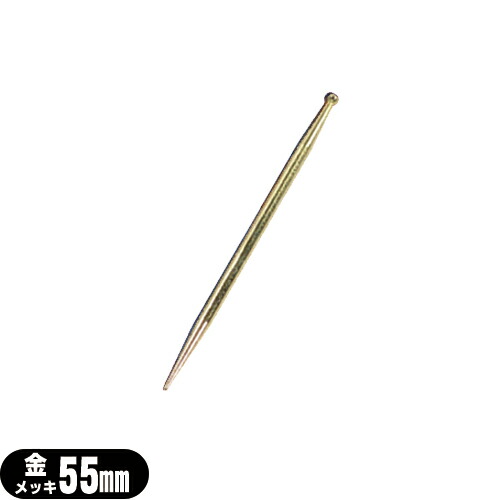 楽天市場】てい 鍼 銀の通販