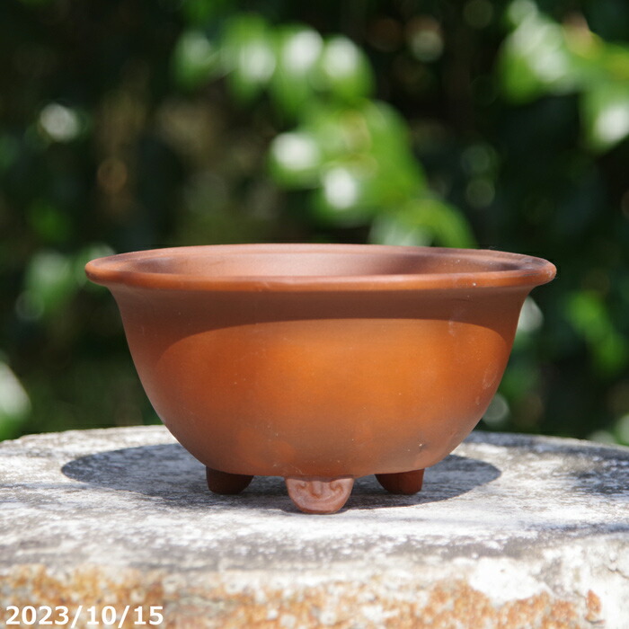 中国美術 朱泥 植木鉢 蘭鉢 園芸(BB451) 中国美術 朱泥 植木鉢 蘭鉢