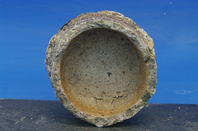 楽天市場】古信楽焼 サヤ No.1755 【山野草鉢】【小山飾り鉢】【植木鉢