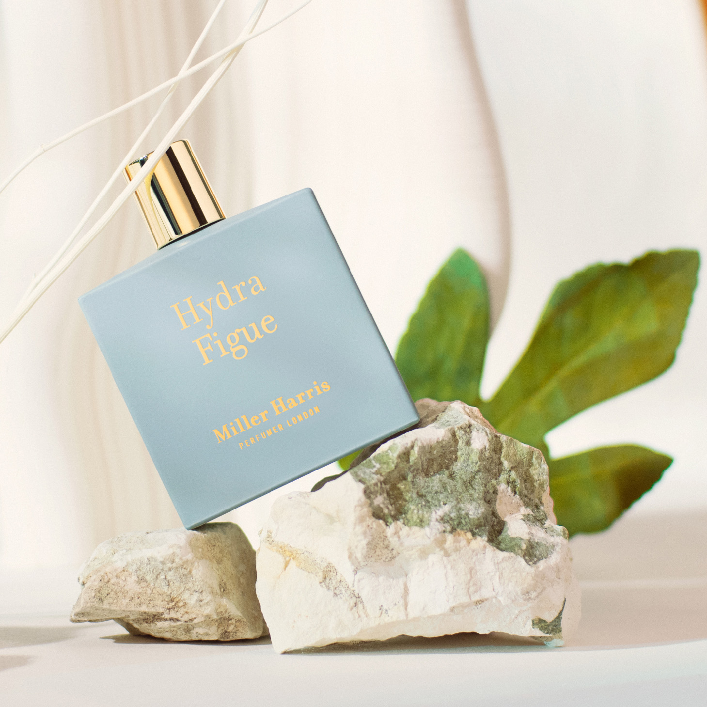 楽天市場】【正規輸入代理店】【 Miller Harris ミラー ハリス