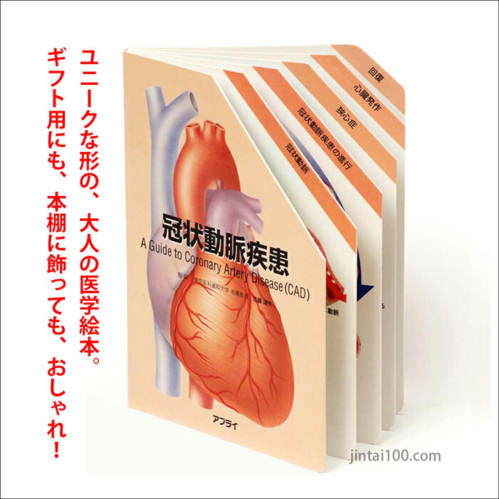 楽天市場】冠状動脈疾患 型抜き絵本 TP001 医学絵本 狭心症 心臓発作