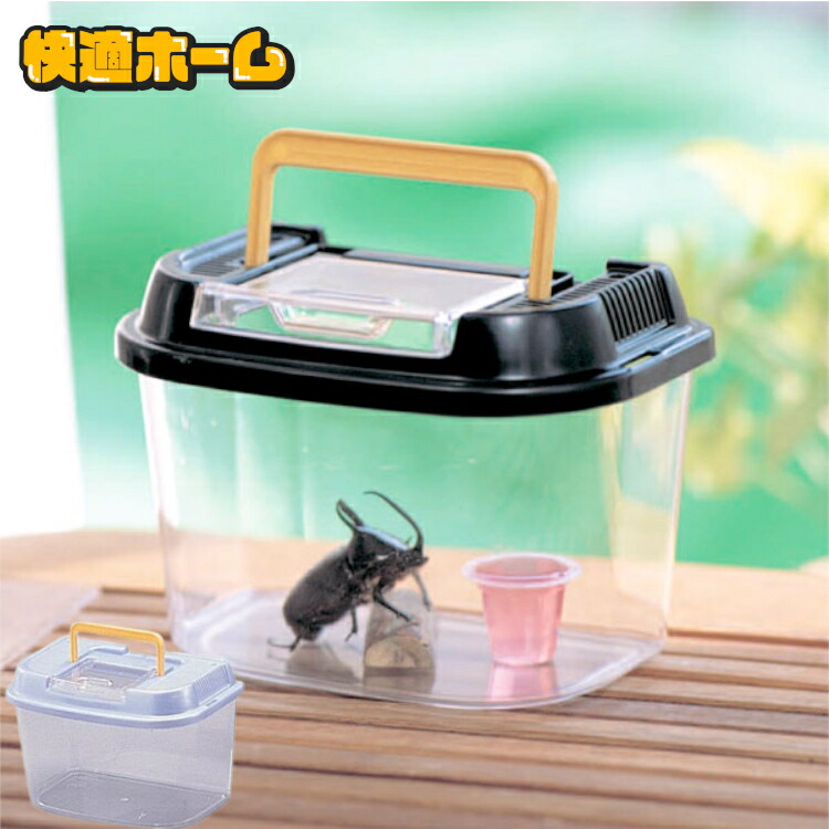 楽天市場】虫かご 虫篭 虫籠 飼育ケース 昆虫 虫かご 飼育ランド