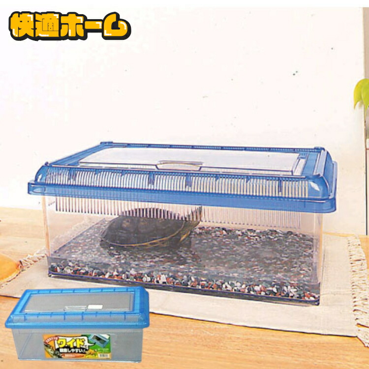 楽天市場】亀 虫 昆虫 飼育ケース アイリス 昆虫 虫かご 幅36.5×奥行