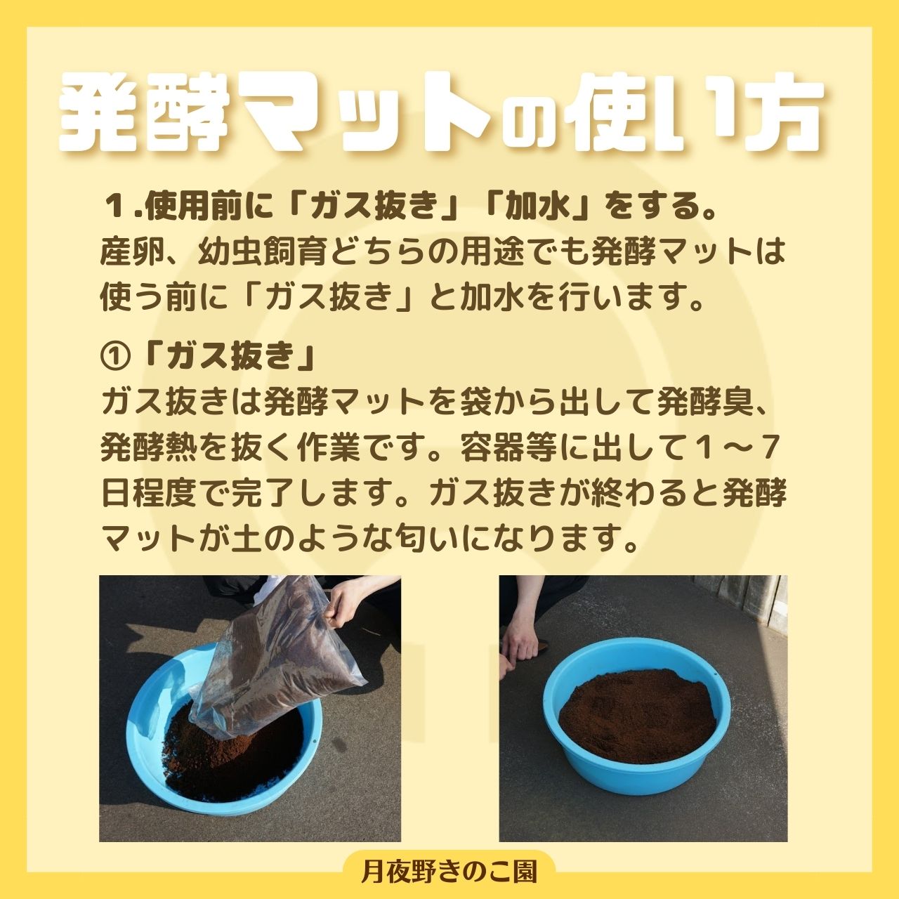 楽天市場】【きのこMat50L】カブトムシ幼虫、クワガタ幼虫が大きく育つ