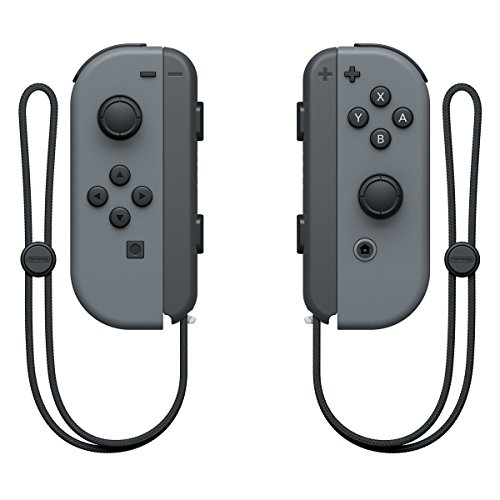 Nintendo Switch 本体 ニンテンドースイッチ Joy-Conなし Nintendo