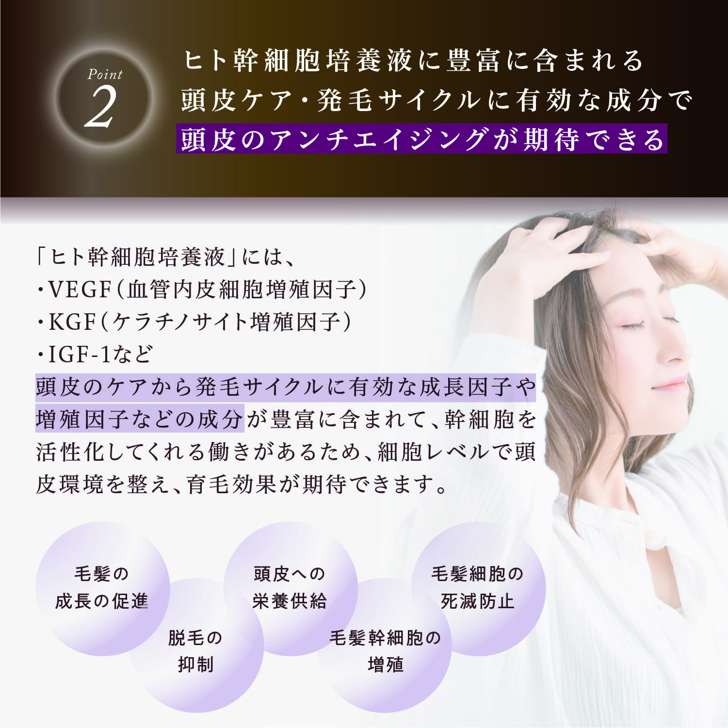 楽天市場】公式 クーポンで最大32%OFF 【 KYOGOKU シグネチャー