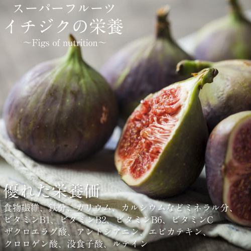 楽天市場】【送料無料】オーガニック有機いちじく800g(200g×4袋)安心