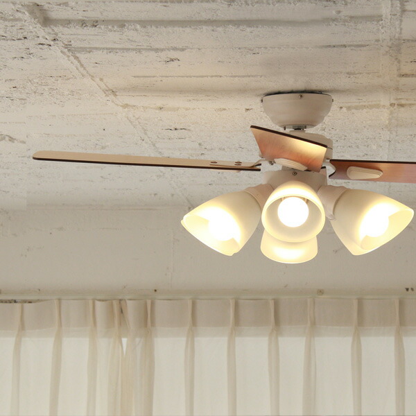 楽天市場】【レビュー特典】 『 シーリングファン Windouble ウィン