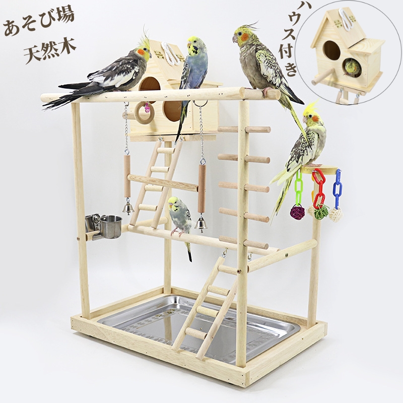 楽天市場】【スーパーSALE限定×10%OFF】インコ おもちゃ 止まり木