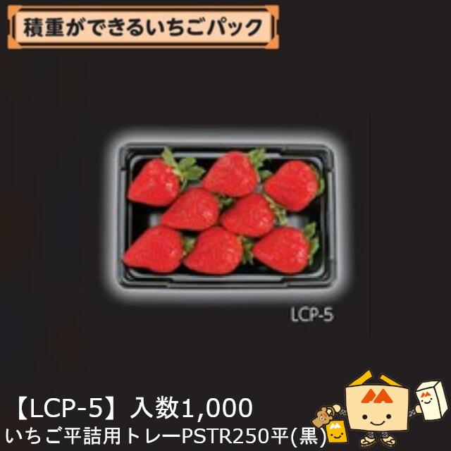 楽天市場】【個人宅不可】フルーツ いちご用 いちご平詰用トレー