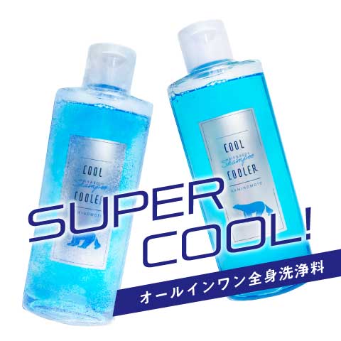 楽天市場】クールクーラー ひんやり 冷感 ボディソープ クール