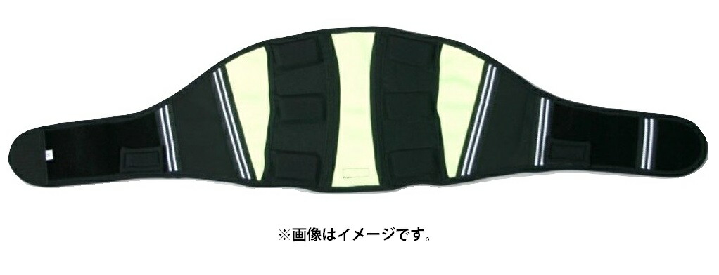 楽天市場】運動化学 パワースポーター 腰 インナータイプ 腰用Lサイズ