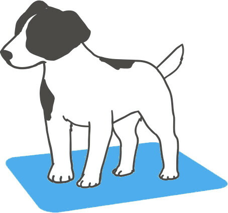 楽天市場】送料無料 サンテクレアール torima トリマ トロン発生マット