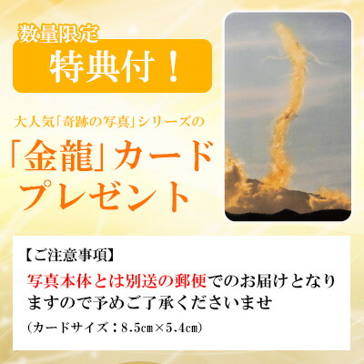 楽天市場】奇跡の写真 秋元隆良 「金龍」【金龍カード特典付！】代引き