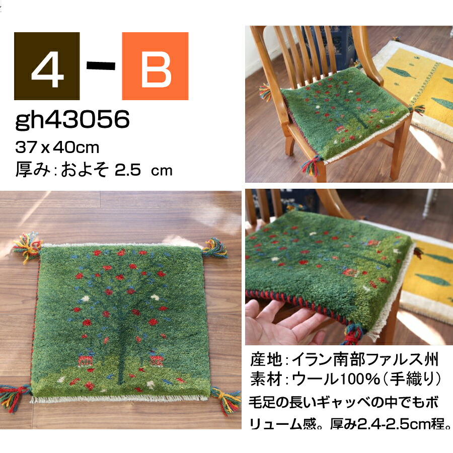 楽天市場】ギャッベ ギャベ 座布団サイズ 40×40cm イラン直輸入 天然