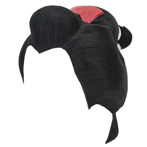 楽天市場】【クーポン配布中!】在庫あり!!【メール便送料無料】芸者