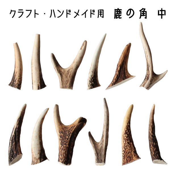 楽天市場】鹿の角 パーツ 中 約8cm前後 3本入 アクセサリー
