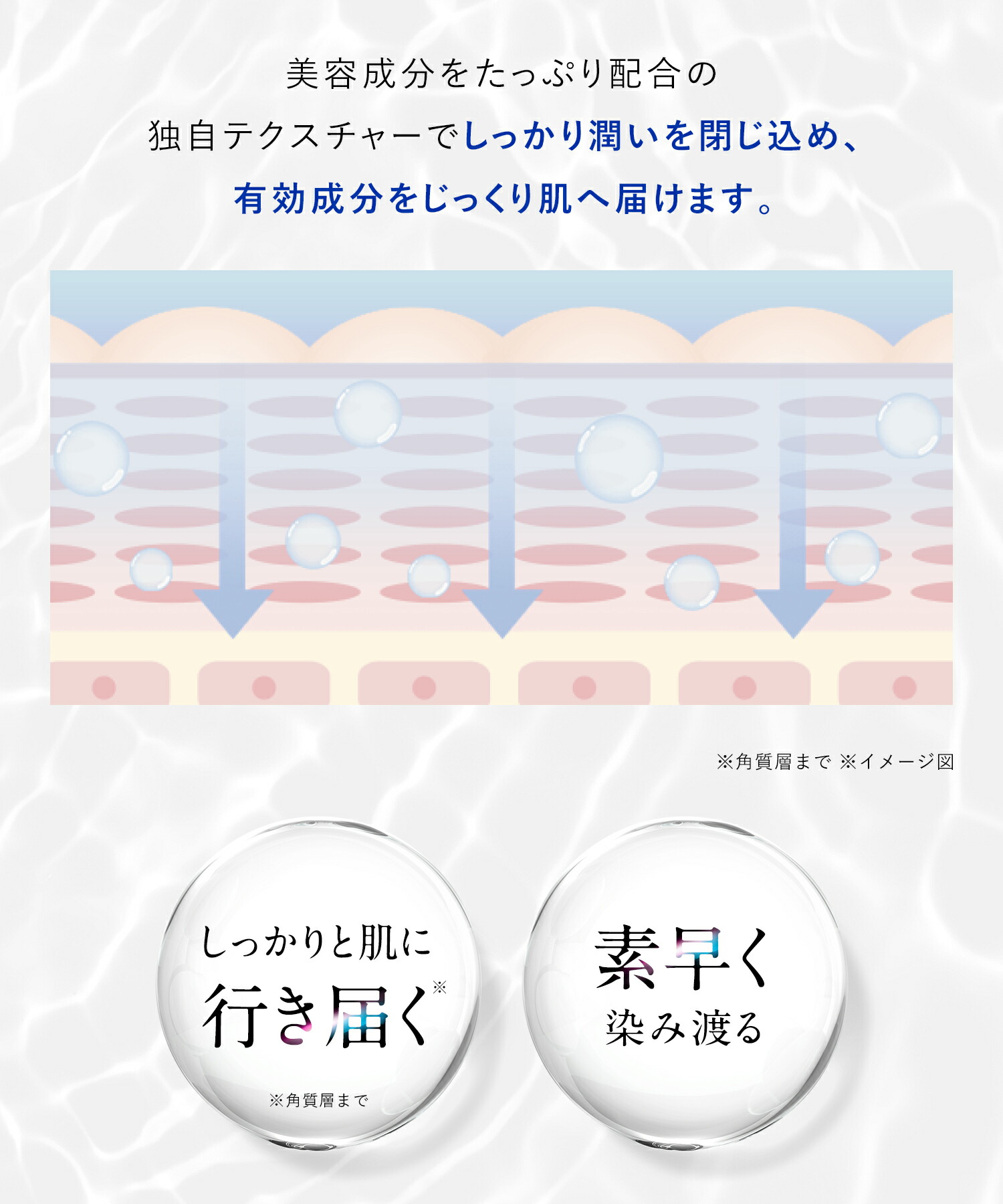 楽天市場】3/4 15時〜≪おトクなクーポン対象≫ 《公式店