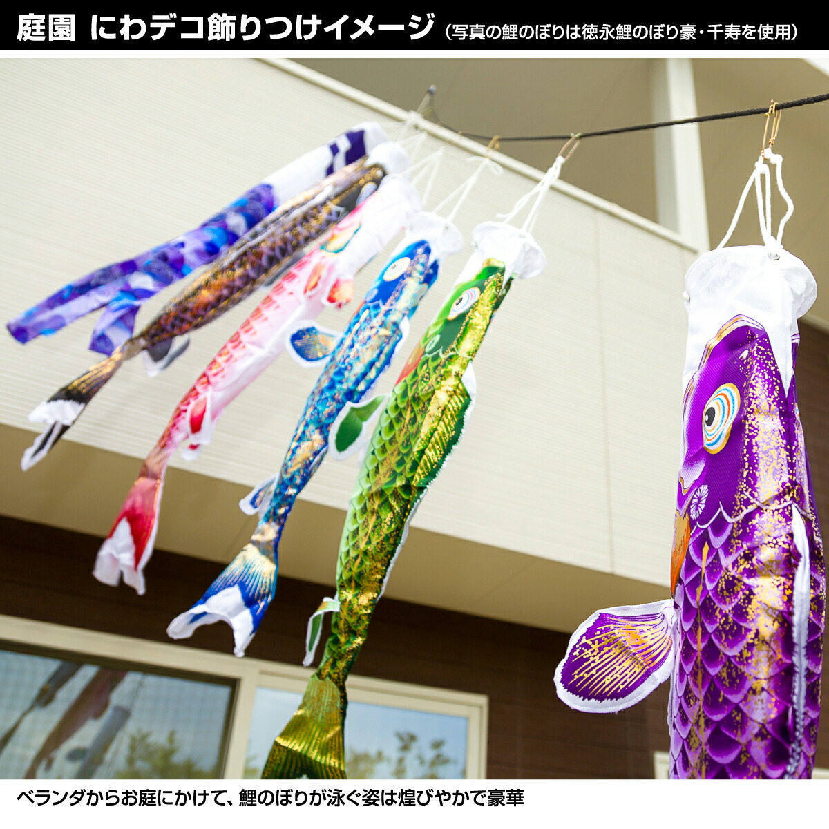 楽天市場】徳永鯉のぼり ちりめん京錦鯉 1.5m 7点セット にわ