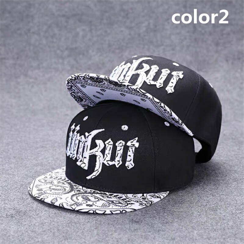 値下げ❣️Fujii KazeEU/NA TOUR 2025FK刺繍キャップ 値下げ❣️Fujii