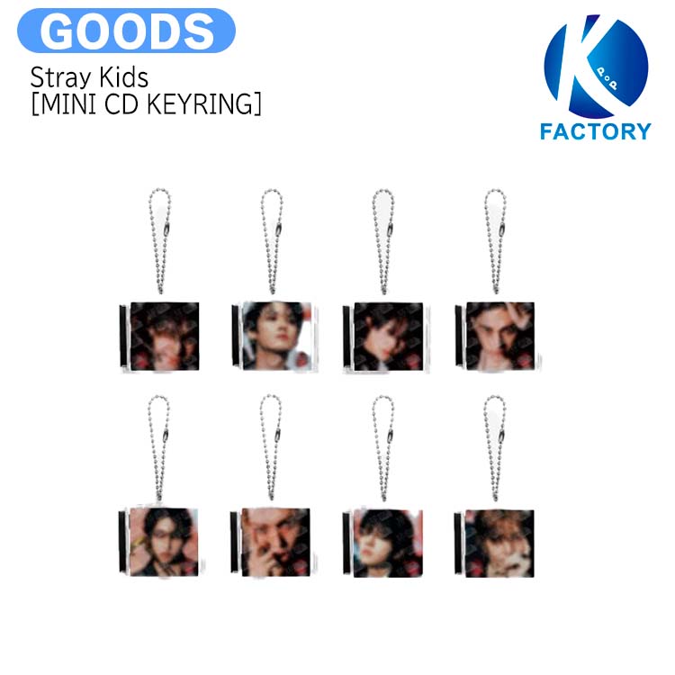 楽天市場】【推し活SALE】 Stray Kids [ MINI CD KEYRING ] ATE POP-UP