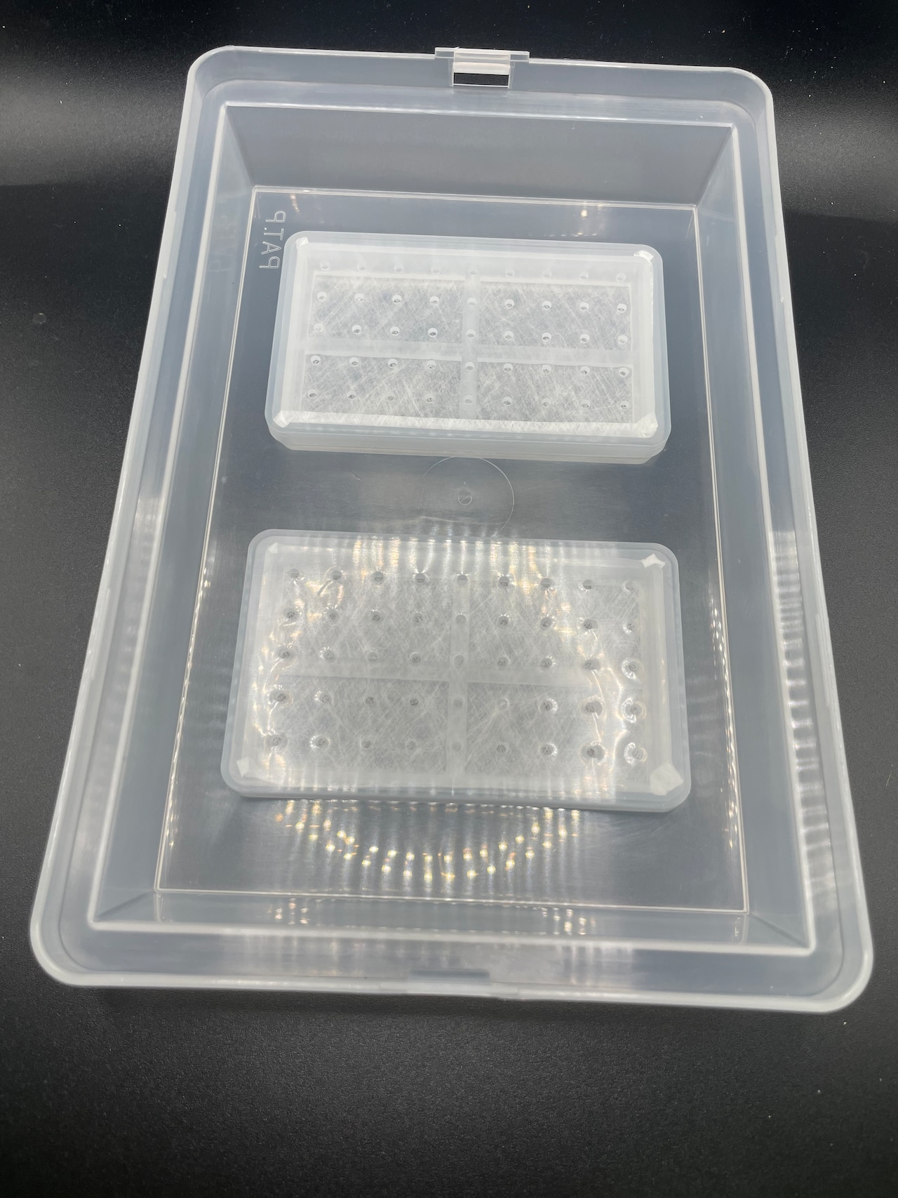 楽天市場】【送料無料】 コバエシャッター 小 ケース 産卵セットに最適