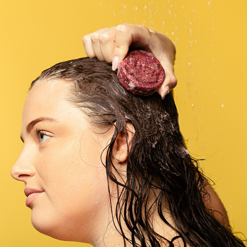 楽天市場】LUSH ロウィーナ・バード シャンプーバー 固形 シャンプー