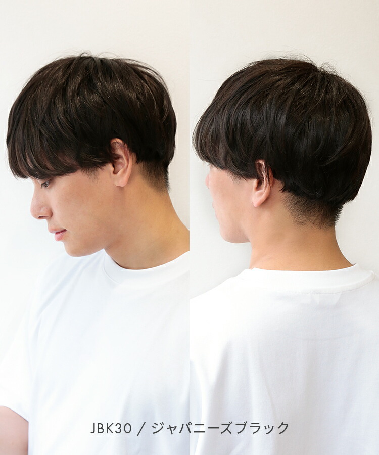 楽天市場】【人工頭皮付き】 ウィッグ メンズ 部分ウィッグ ヘアピース