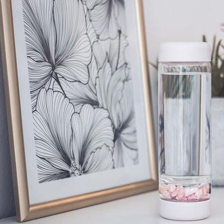 楽天市場】ヴィタジュエル 【inu!】ウォーターボトル 500ml 全5色