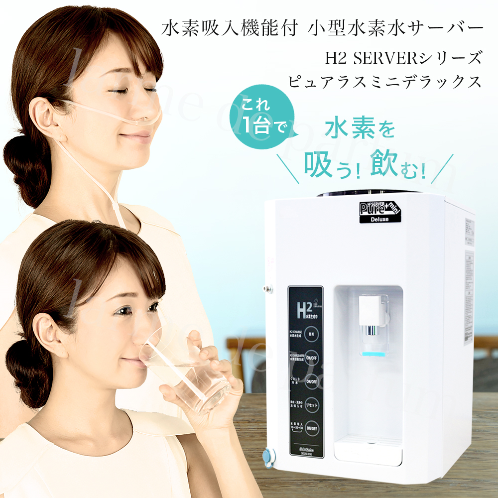 楽天市場】【正規品 公認店】ポイント10倍 レビュー投稿で+1年延長保証