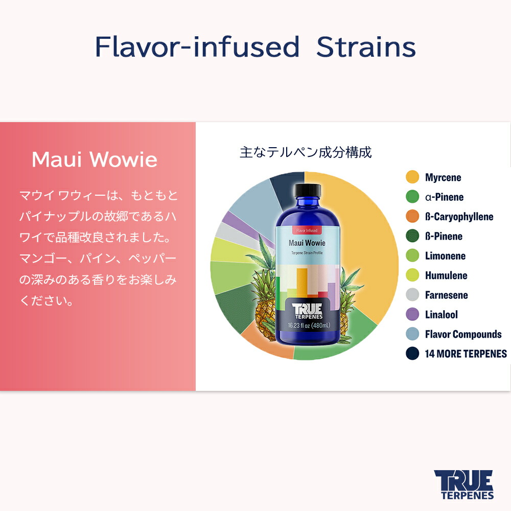 楽天市場】＼即日発送／テルペン アメリカ TRUE TERPENES 『フレーバー