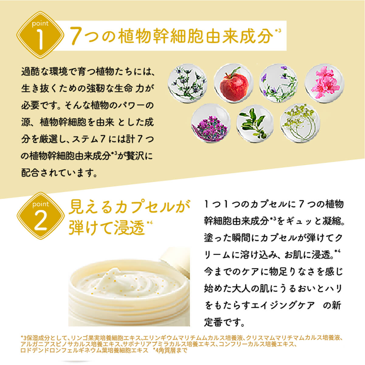 楽天市場】【LDK 受賞】リッツ リバイバル ステム7 LITS フェイス