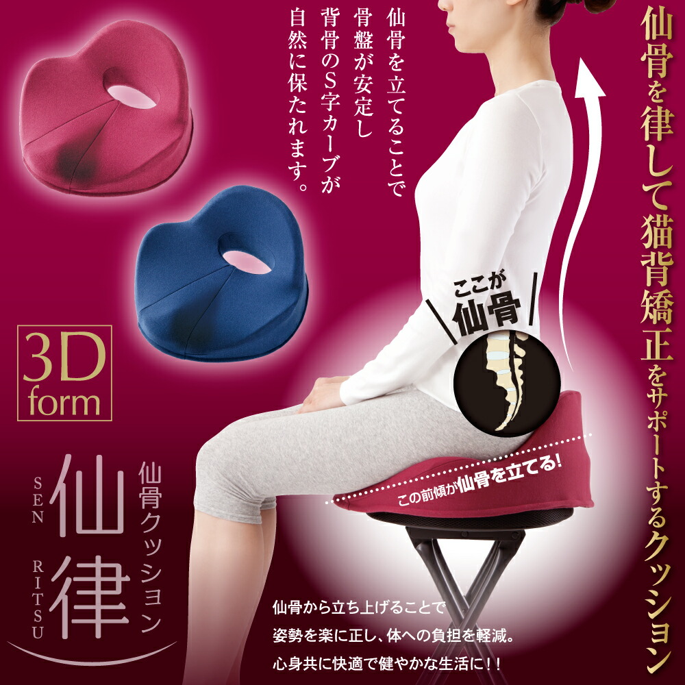 楽天市場】仙骨クッション 仙律 ネイビー 腰痛対策 クッション 骨盤