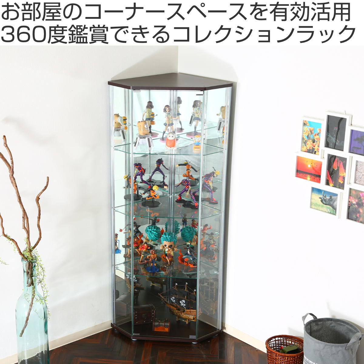 楽天市場】コレクションケース 幅72cm コーナータイプ ショーケース