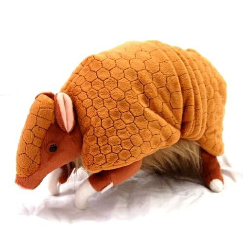 楽天市場】ミツオビアルマジロ サイズ:26cm ふわふわ もちもち