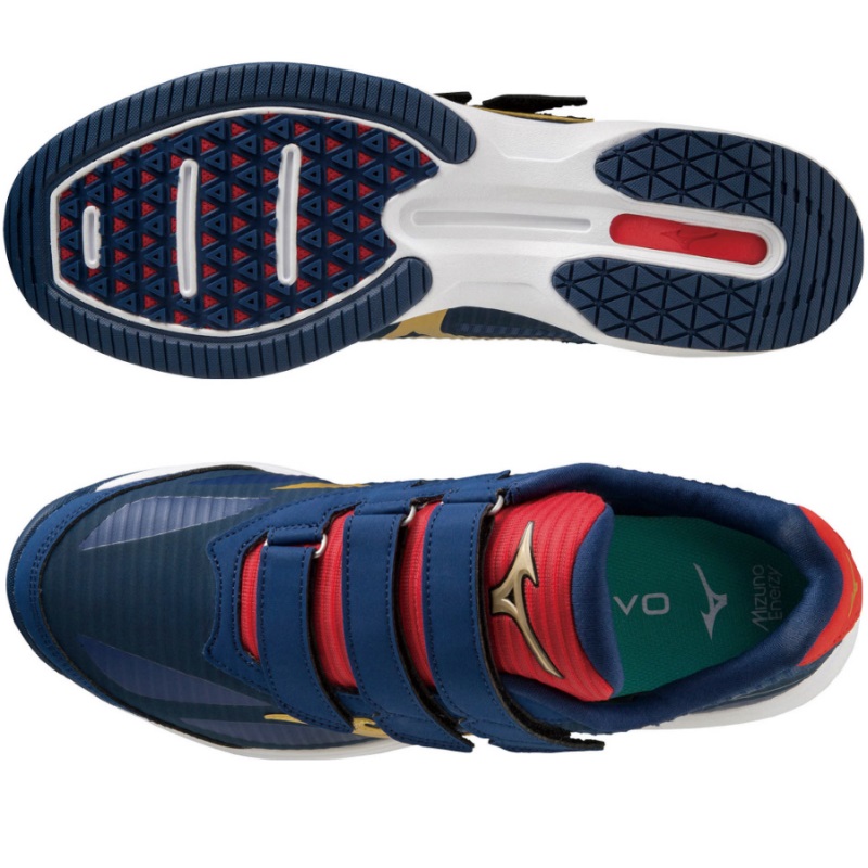 楽天市場】25.5cmのみミズノ 野球 トレーニングシューズ グローバル