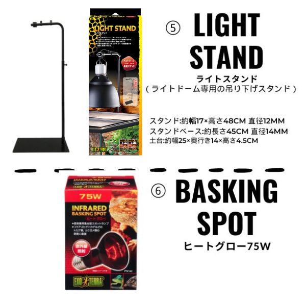 楽天市場】沖縄県は送料別途【フトアゴヒゲトカゲリクガメ飼育セット＋