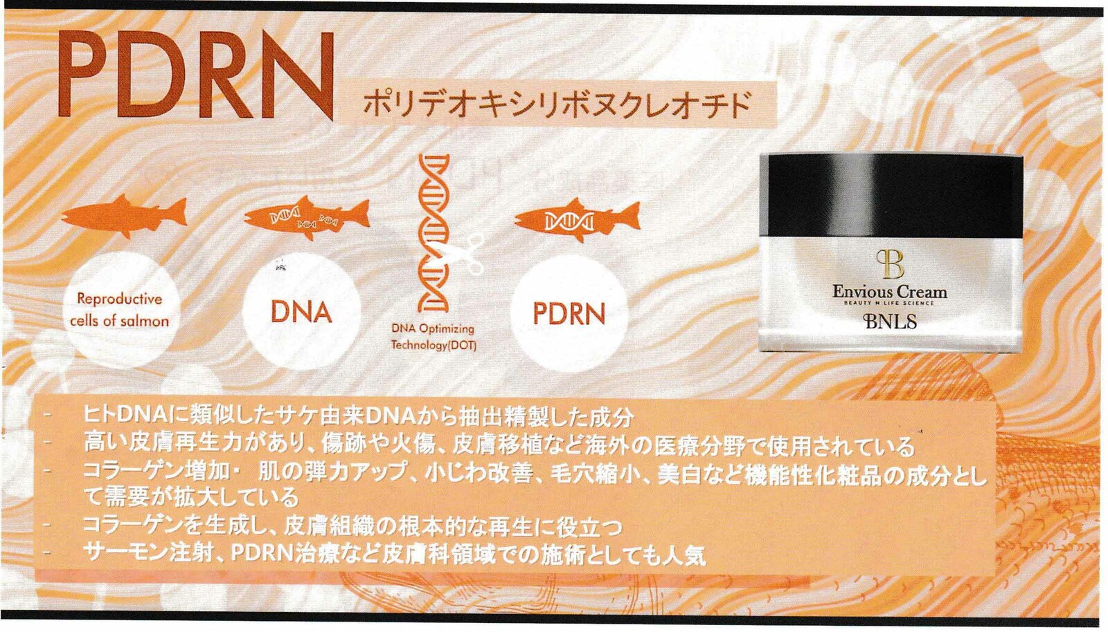 楽天市場】韓国 美容外科 bnls エンビオスクリーム bndクリーム ブルー