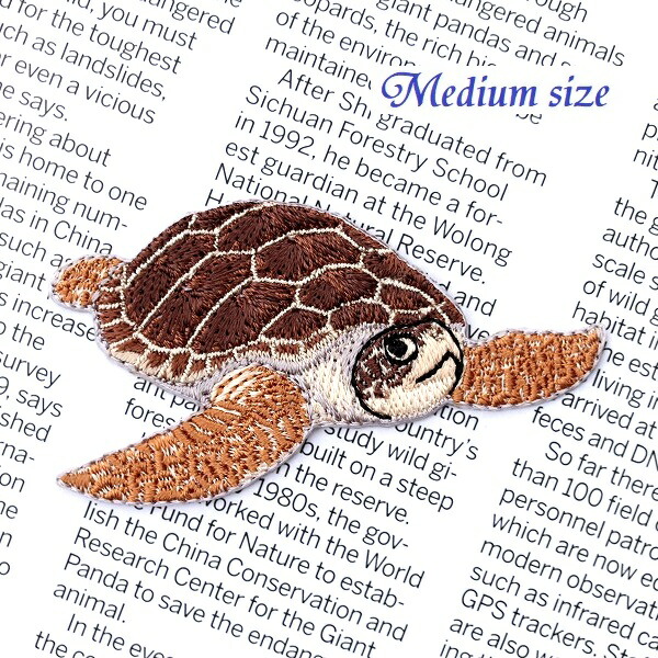 楽天市場】ワッペン 海亀（うみがめ） 最大横幅6.9×高さ3.4cm前後