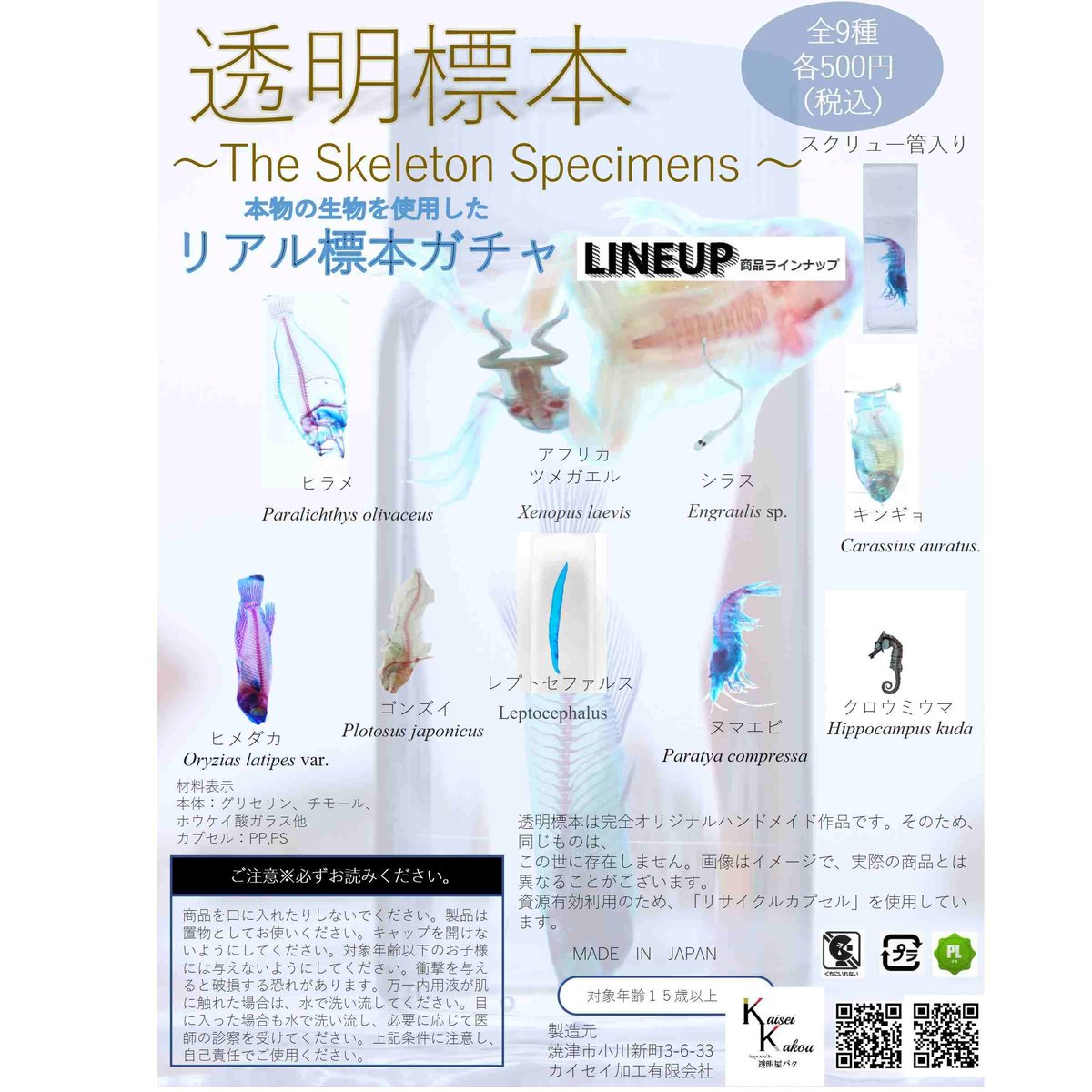 楽天市場】「ガチャガチャ 透明標本 カプセルインの状態でお届け 8