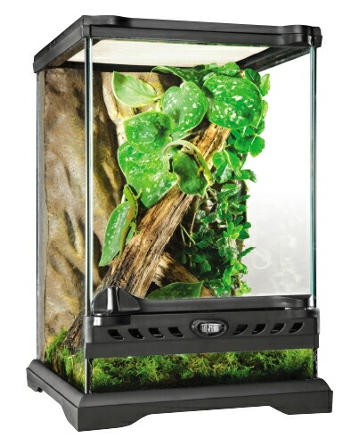 楽天市場】○【エキゾテラ】グラステラリウム ナノ EXOTERRA【ケージ