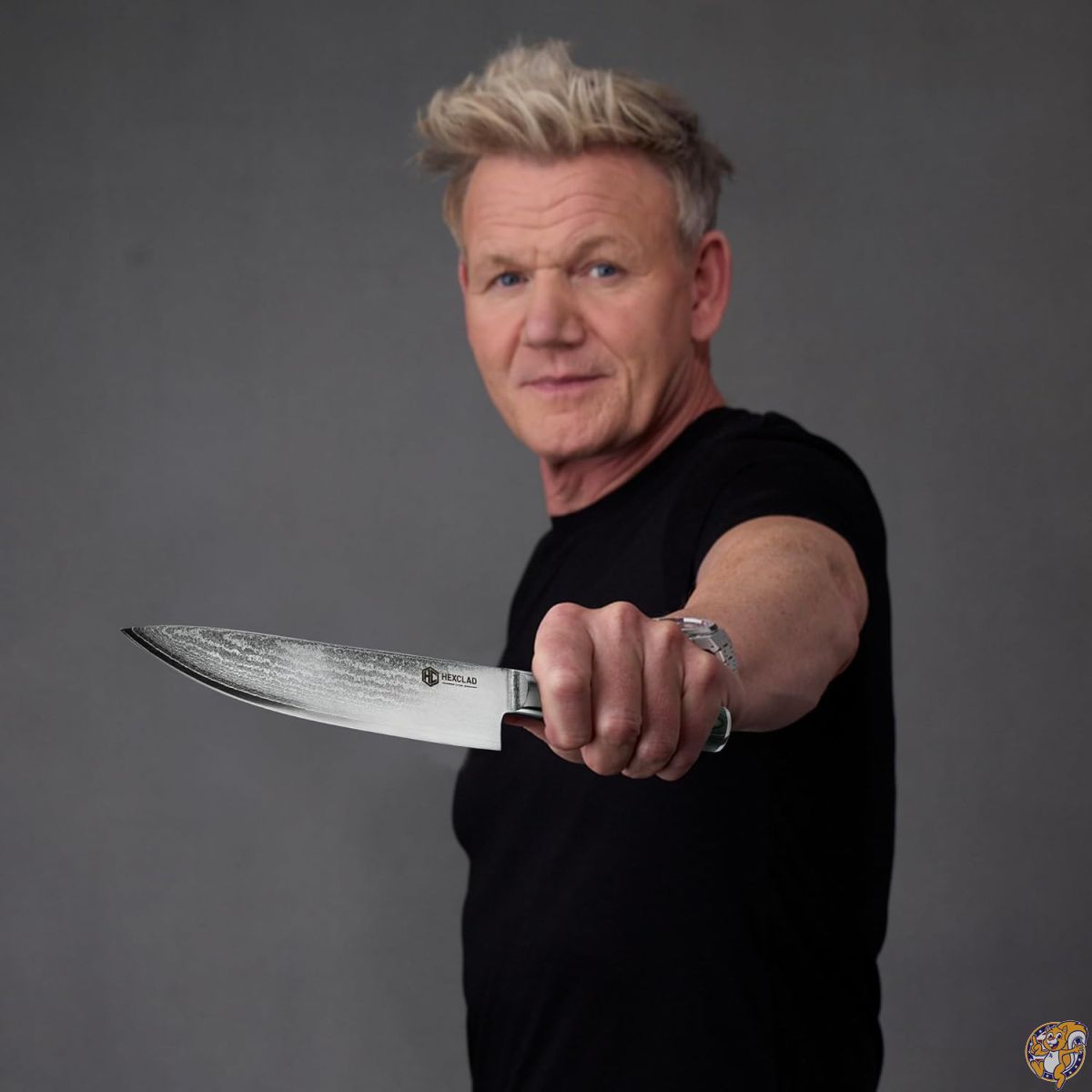 楽天市場】【ポイント2倍ワンダフルデー】HexClad エッセンシャル