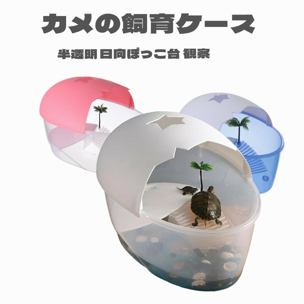楽天市場】送料無料 亀の水槽 飼育ケース タートルタンク カメ 生息地