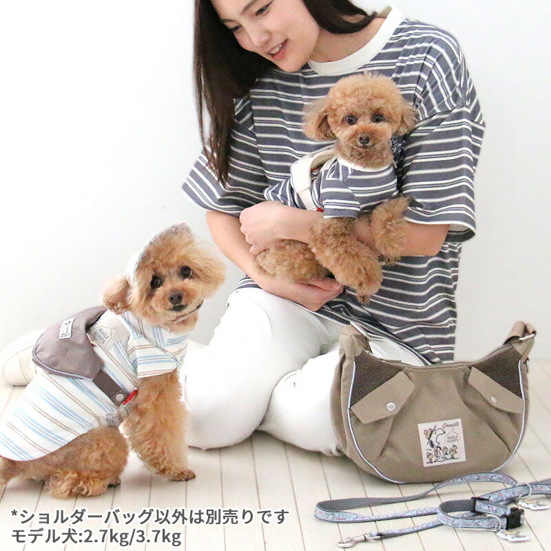 楽天市場】☆お散歩バッグ ショルダー 斜めがけ トート スヌーピー お