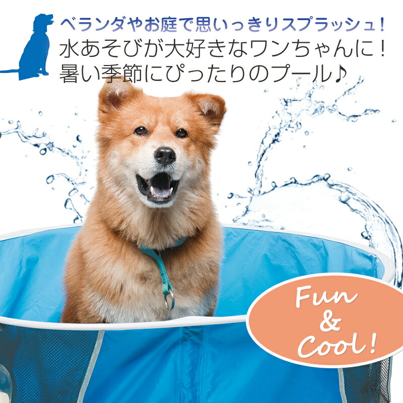 楽天市場】【定価より53%OFF・3/4 20:00〜限定】たためる ペット