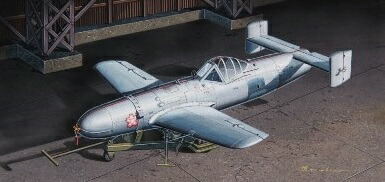 楽天市場】ファインモールド 1/48 特別攻撃機 桜花一一型 スケール